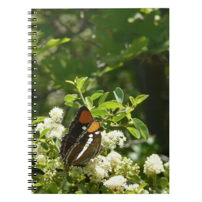 Cuaderno Mariposa Hermana de California en Yosemite (Frente)