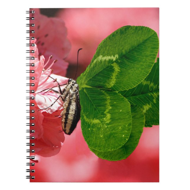 Cuaderno Mariposa Lucky (Frente)