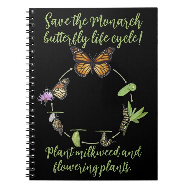Cuaderno Mariposa monarca (Frente)