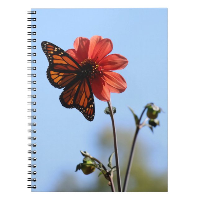 Cuaderno Mariposa monarca en Dahlia (Frente)