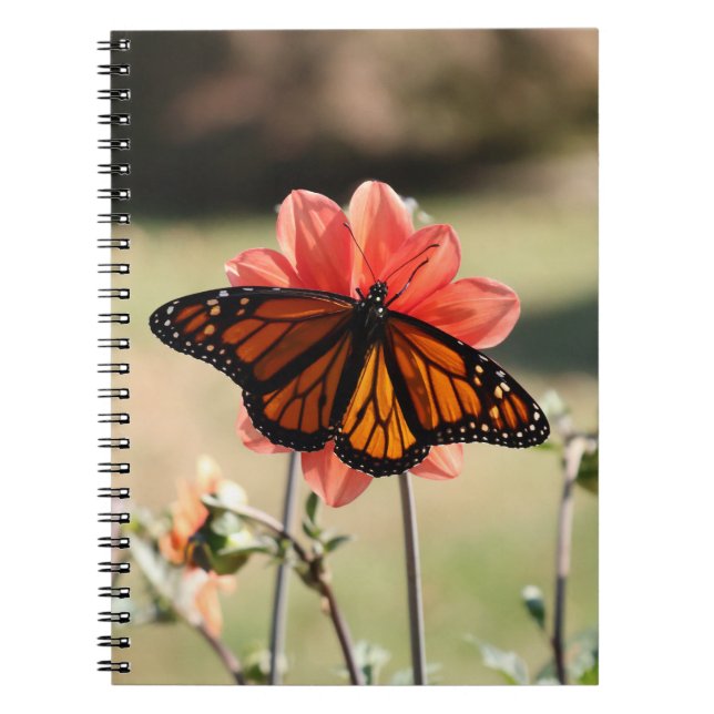 Cuaderno Mariposa monarca en Dahlia Blank (Frente)