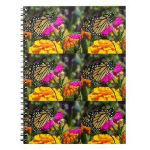 Cuaderno Mariposa monarca en la flor rosada de Marigold