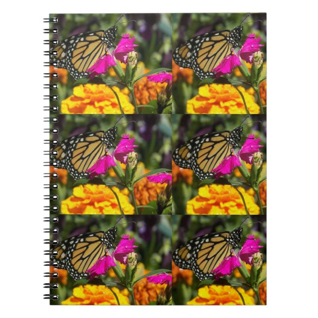 Cuaderno Mariposa monarca en la flor rosada de Marigold (Frente)