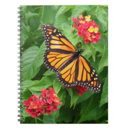 Cuaderno Mariposa monarca en Lantana