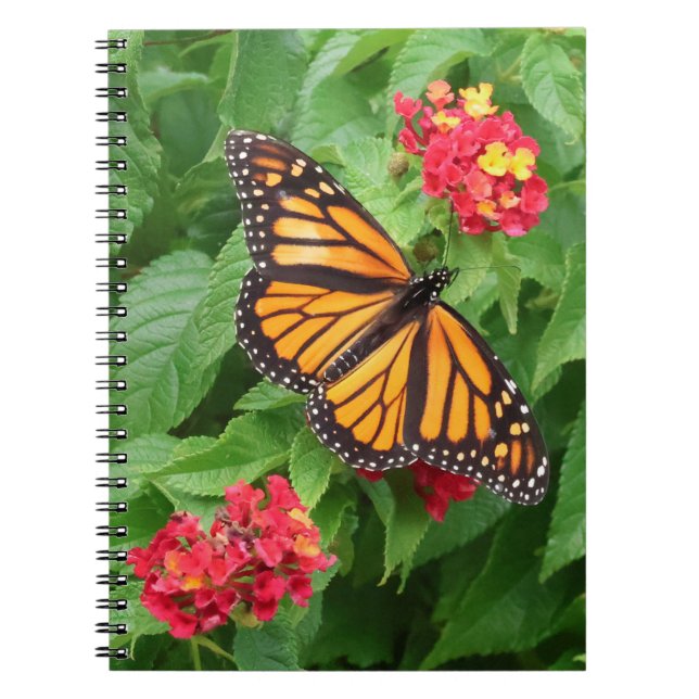 Cuaderno Mariposa monarca en Lantana (Frente)