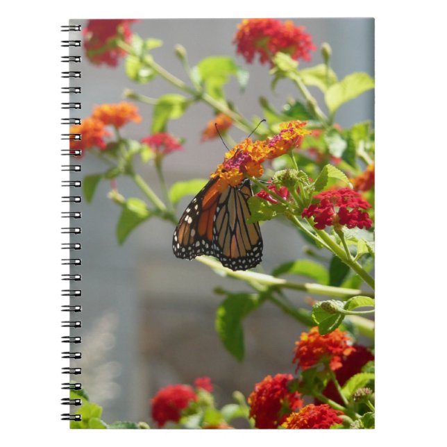 Cuaderno Mariposa monarca en mariposa roja Bush (Frente)