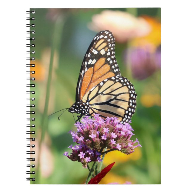 Cuaderno Mariposa monarca en Verbena Blank (Frente)
