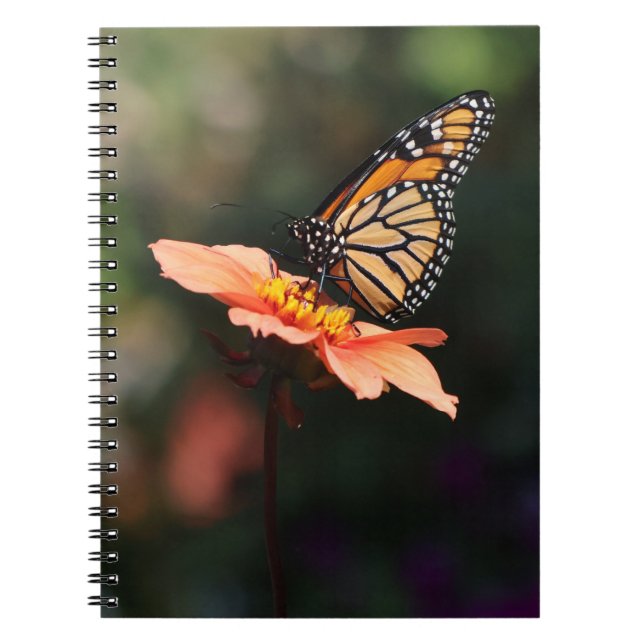 Cuaderno Mariposa monarca en Verbena y Dahlia (Frente)