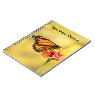 Cuaderno Mariposa monarca en Zambia