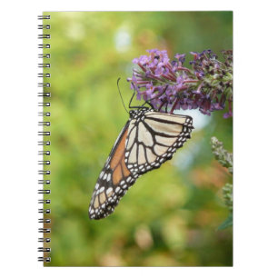 Cuaderno Mariposa monarca sobre mariposa morada Bush