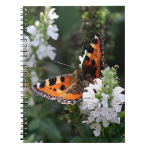 Cuaderno Mariposa naranja y flores blancas