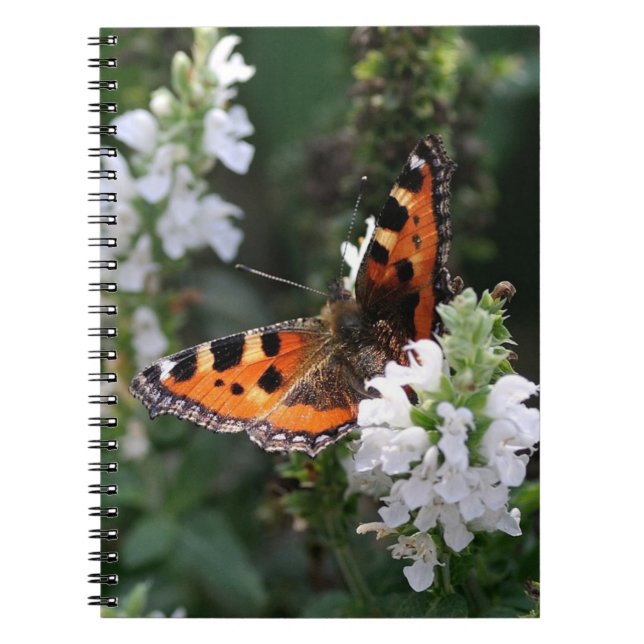 Cuaderno Mariposa naranja y flores blancas (Frente)