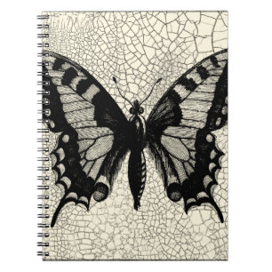 Cuaderno Mariposa negra y blanca en fondo roto