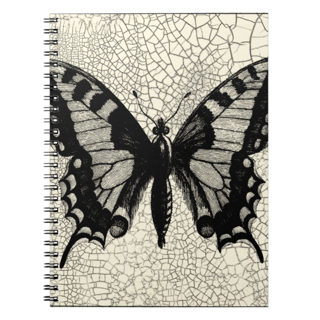 Cuaderno Mariposa negra y blanca en fondo roto (Frente)
