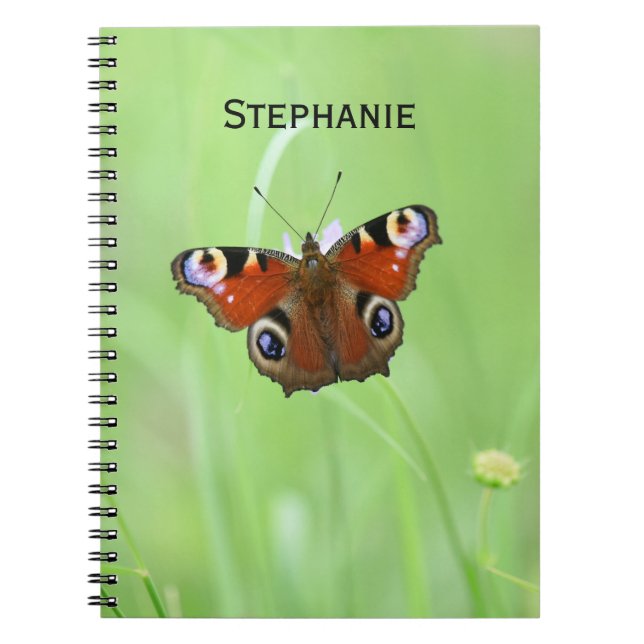Cuaderno Mariposa Pavo Real (Frente)