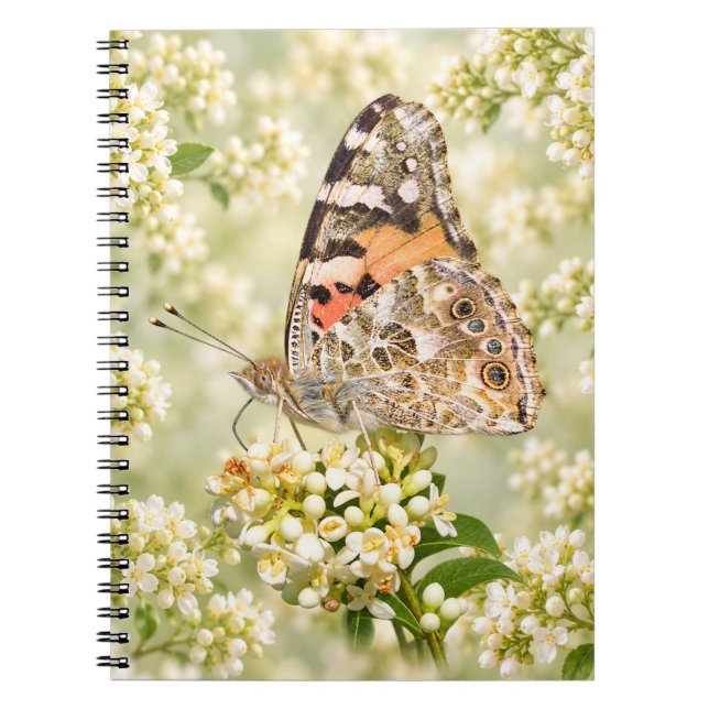 Cuaderno Mariposa Pintada sobre Flores Blancas (Frente)