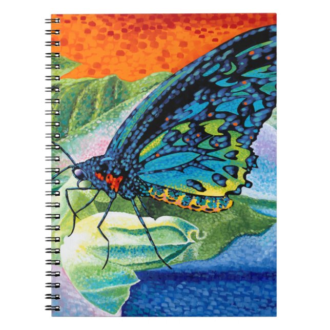 Cuaderno Mariposa postiza II (Frente)