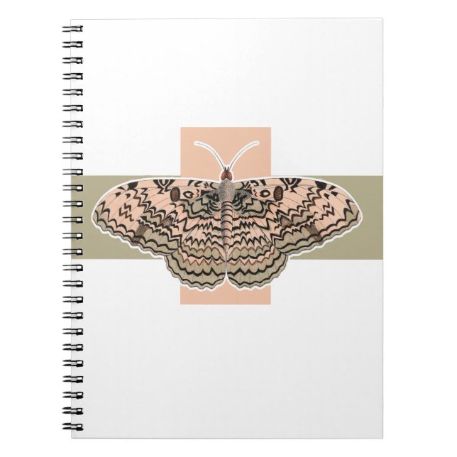 Cuaderno Mariposa rosa (Frente)