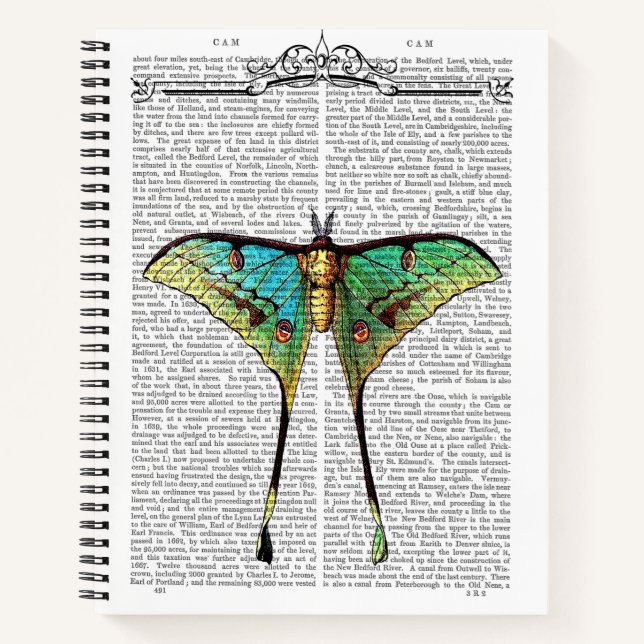 Cuaderno Mariposa vibrante (Anverso)
