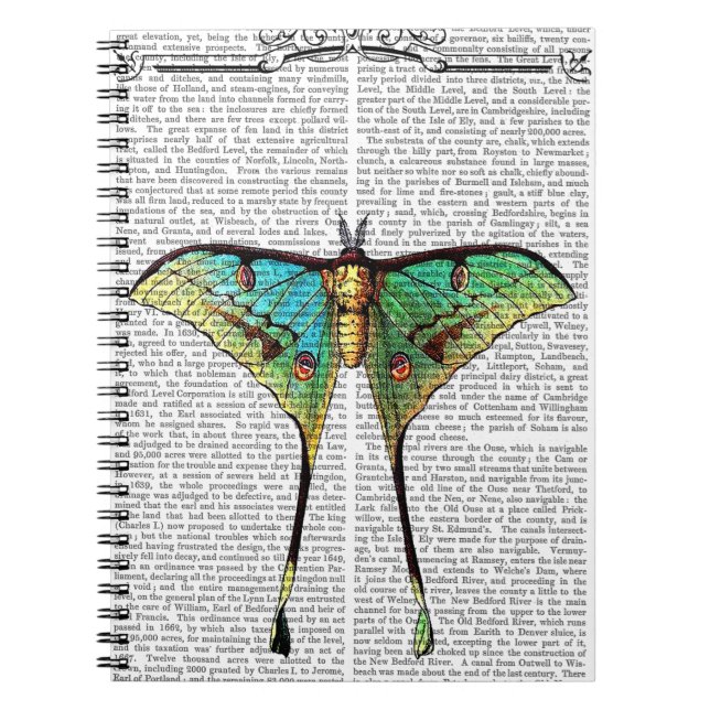 Cuaderno Mariposa vibrante (Frente)