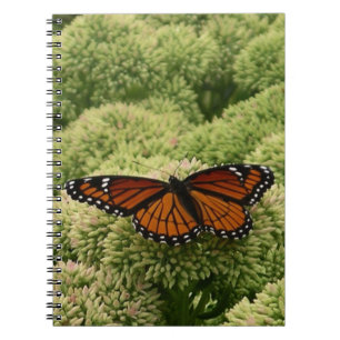 Cuaderno Mariposa Viceroy Hermosa Fotografía de la Naturale