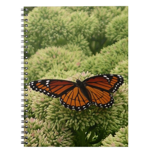 Cuaderno Mariposa Viceroy Hermosa Fotografía de la Naturale (Frente)