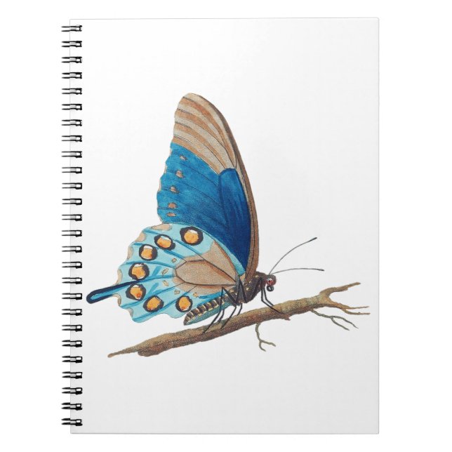 Cuaderno Mariposa vintage (Frente)