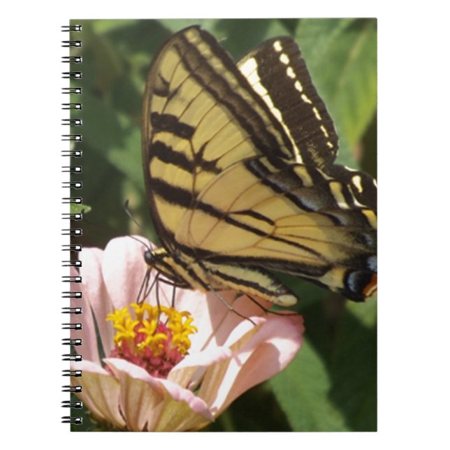 Cuaderno Mariposa y flor (Frente)
