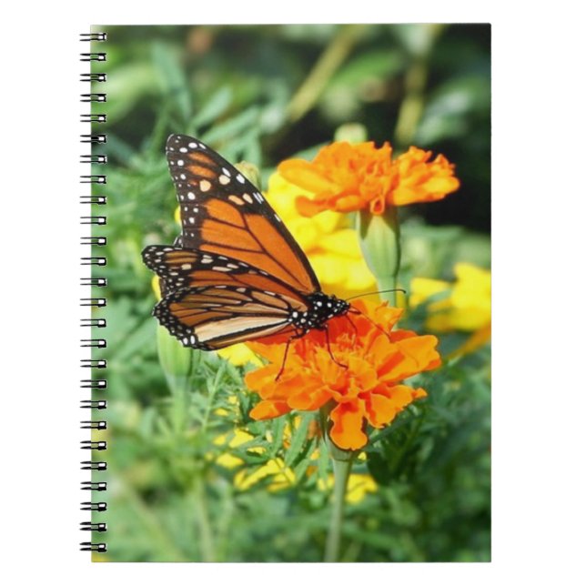 Cuaderno Mariposa y Jardín de Flores Marigold (Frente)