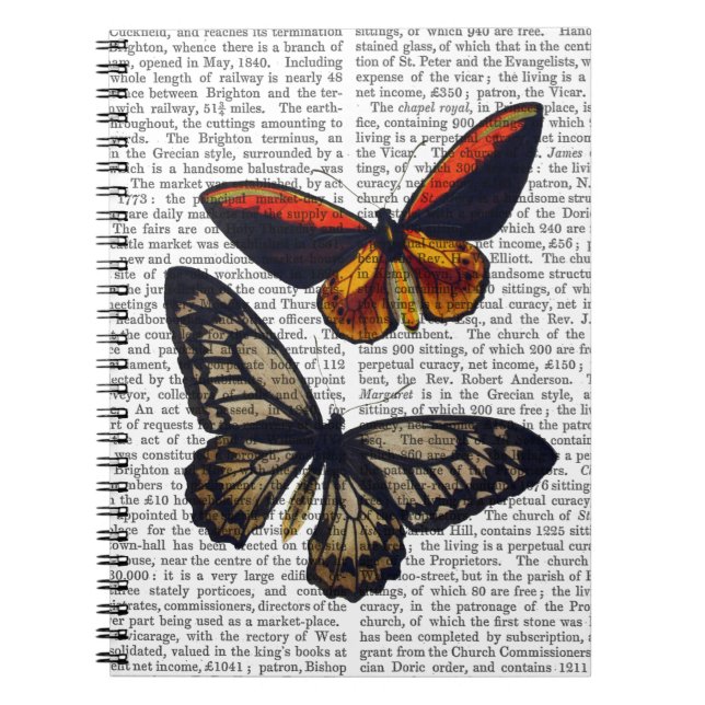 Cuaderno Mariposas 3 (Frente)