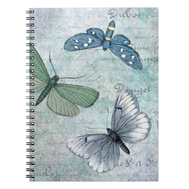 Cuaderno Mariposas antiguas Grunge Francés (Frente)