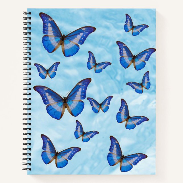 Cuaderno Mariposas azules (Anverso)
