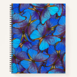 Cuaderno Mariposas azules