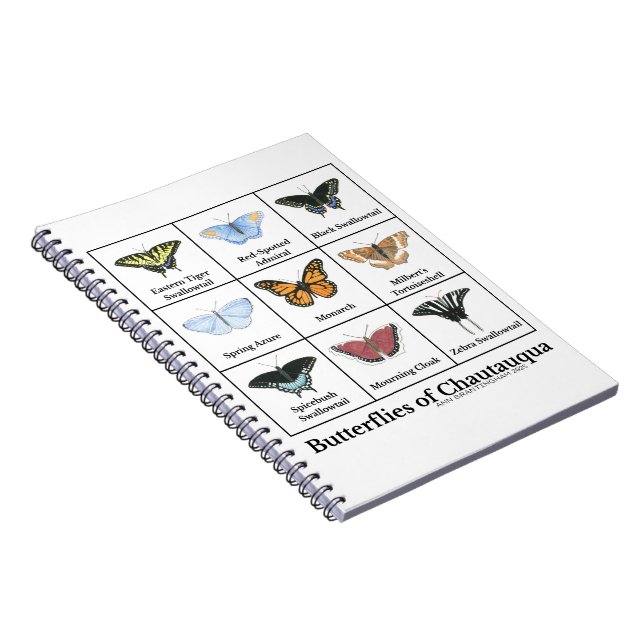 Cuaderno Mariposas de Chautauqua (Lado Derecho)