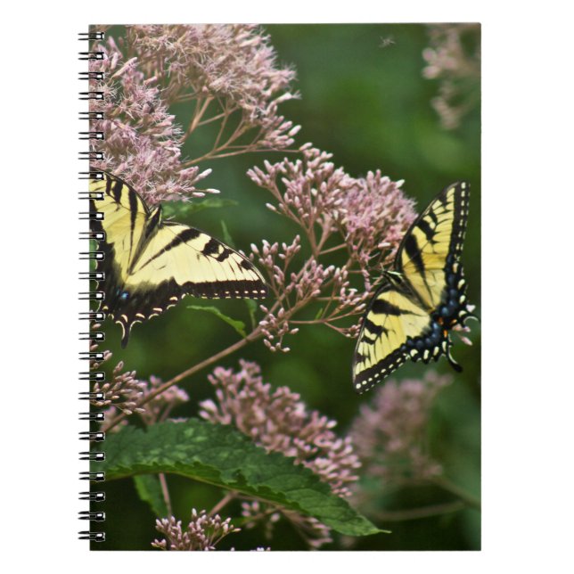 Cuaderno Mariposas de Swallowtail del tigre en la mala (Frente)