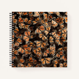 Cuaderno Mariposas monarcas