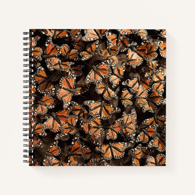 Cuaderno Mariposas monarcas (Anverso)