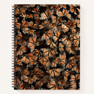 Cuaderno Mariposas monarcas