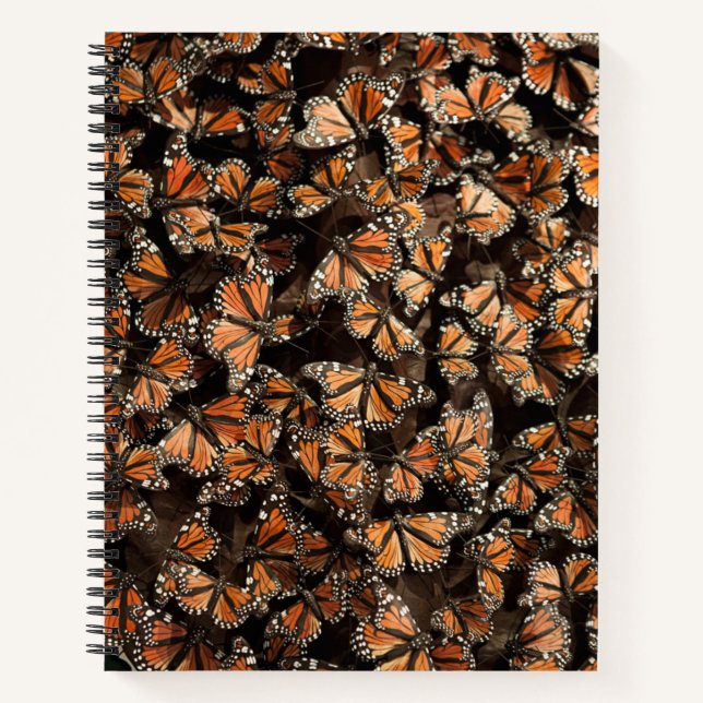 Cuaderno Mariposas monarcas (Anverso)
