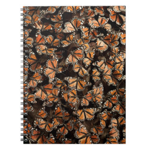 Cuaderno Mariposas monarcas