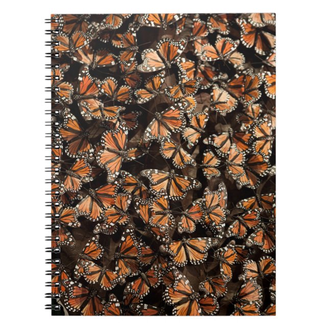 Cuaderno Mariposas monarcas (Frente)