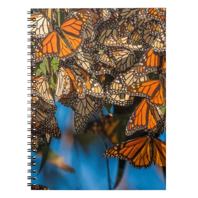 Cuaderno Mariposas monarcas migratorias aferradas a hojas (Frente)