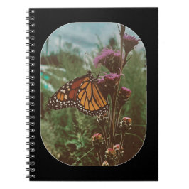 Cuaderno mariposas naranja