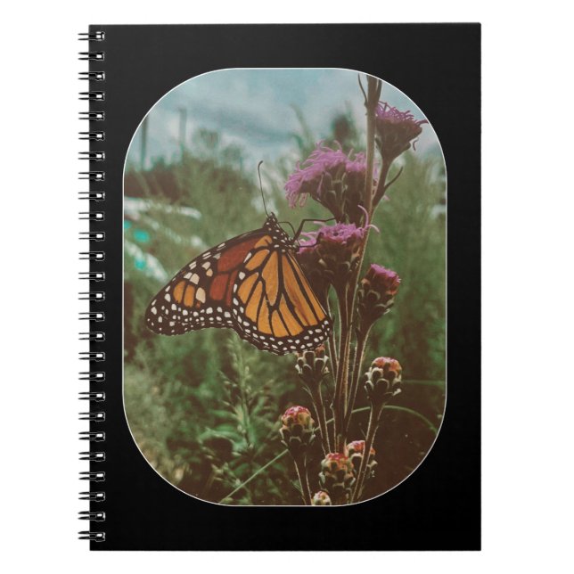 Cuaderno mariposas naranja  (Frente)