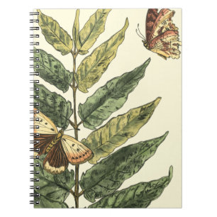 Cuaderno Mariposas y hojas con marco negro