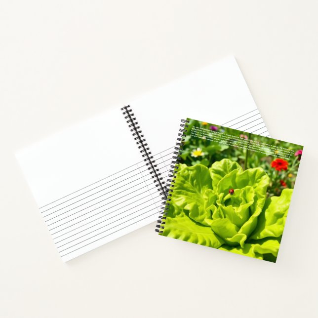 Cuaderno Mariquita Afortunada (Interior)