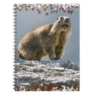 Cuaderno Marmota alpina en el marco de hojas