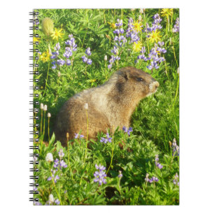 Cuaderno Marmota en flores silvestres del Monte Rainier