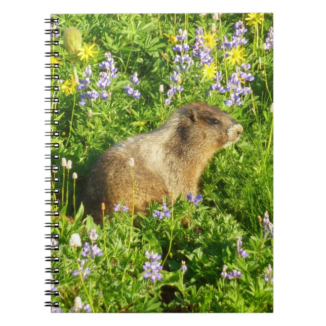 Cuaderno Marmota en flores silvestres del Monte Rainier (Frente)