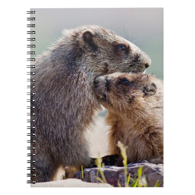 Cuaderno Marmota Madre con Bebé (Frente)